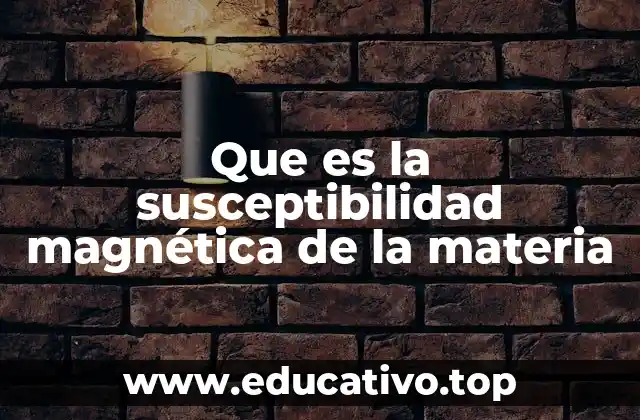 Que es la susceptibilidad magnética de la materia