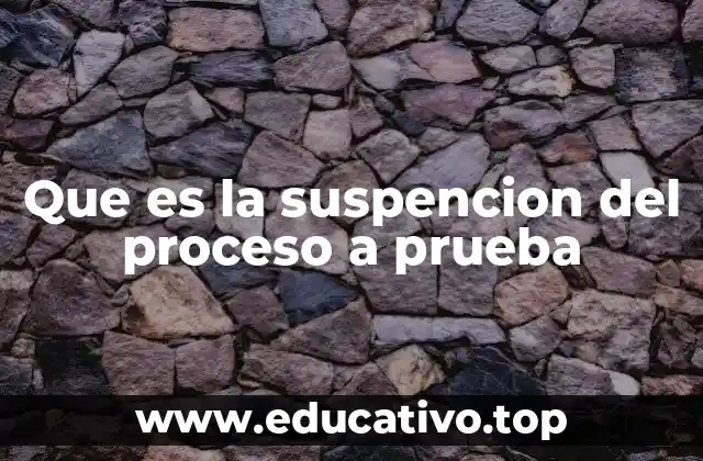 Que es la suspencion del proceso a prueba