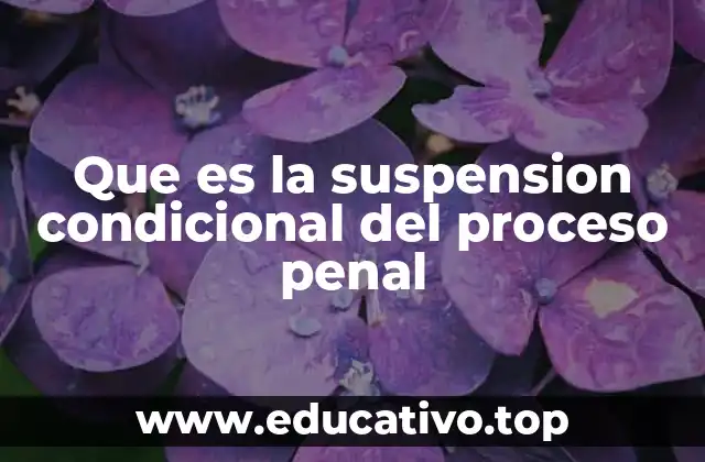 Que es la suspension condicional del proceso penal