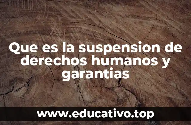 Que es la suspension de derechos humanos y garantias