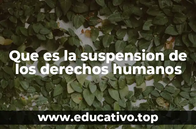 Que es la suspension de los derechos humanos