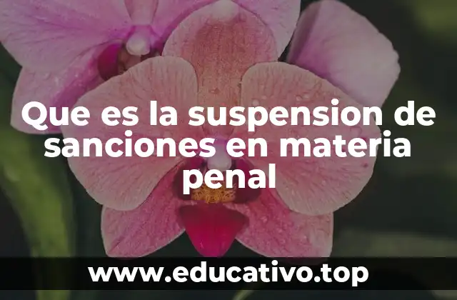 Que es la suspension de sanciones en materia penal