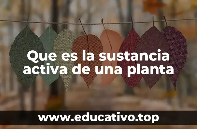 Que es la sustancia activa de una planta