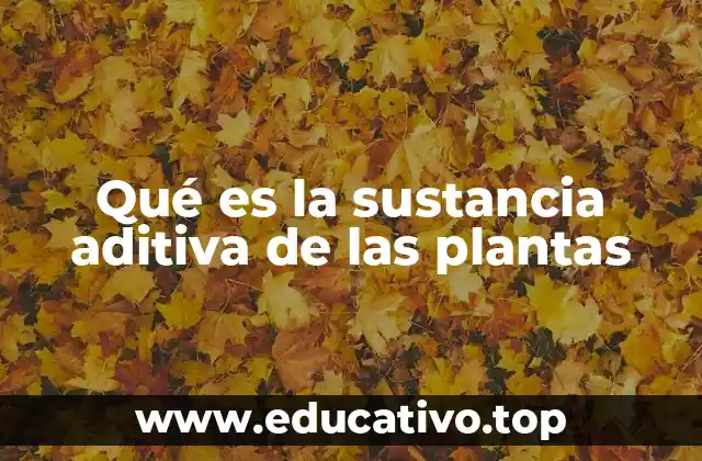 Qué es la sustancia aditiva de las plantas