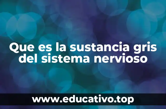 Que es la sustancia gris del sistema nervioso