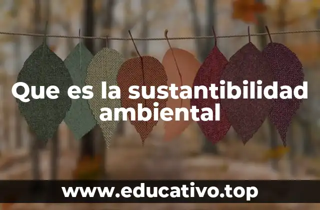 Que es la sustantibilidad ambiental