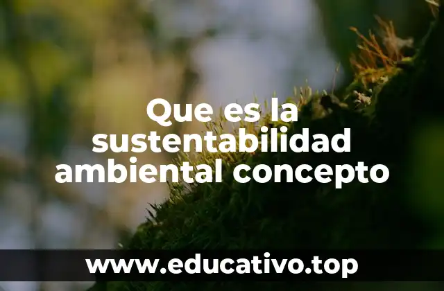 Que es la sustentabilidad ambiental concepto