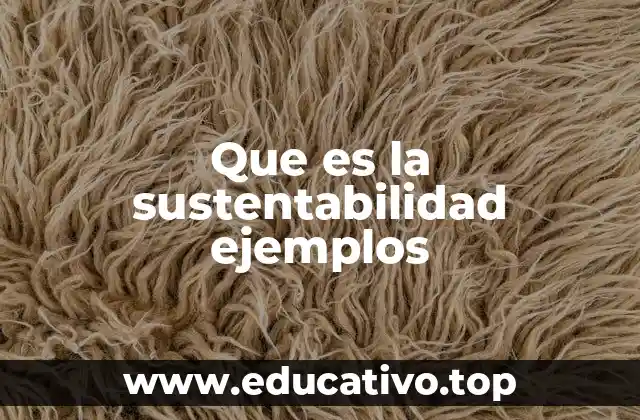Que es la sustentabilidad ejemplos