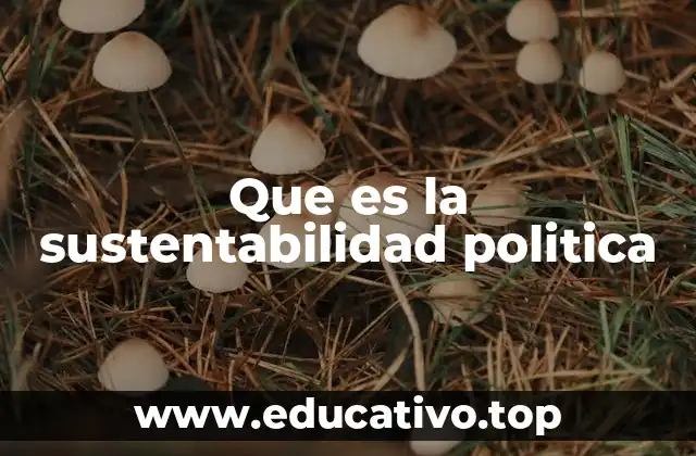 Que es la sustentabilidad politica