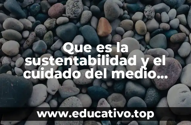 Que es la sustentabilidad y el cuidado del medio ambiente