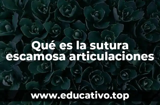 Qué es la sutura escamosa articulaciones
