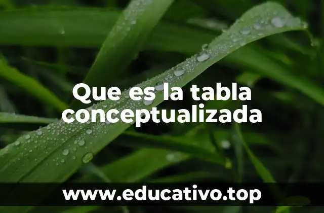 Que es la tabla conceptualizada