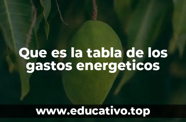 Que es la tabla de los gastos energeticos