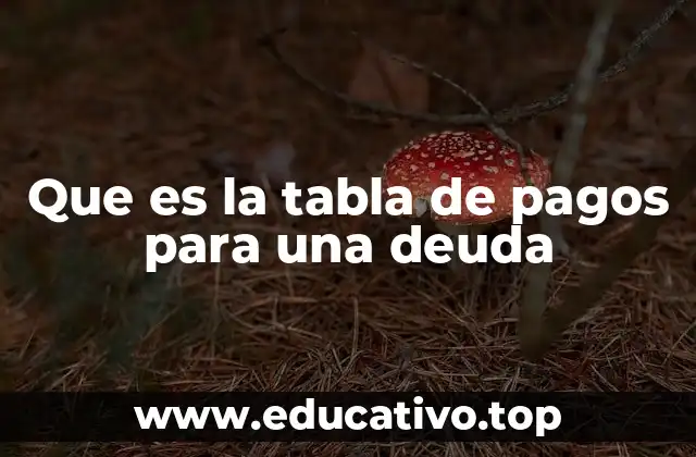 Que es la tabla de pagos para una deuda