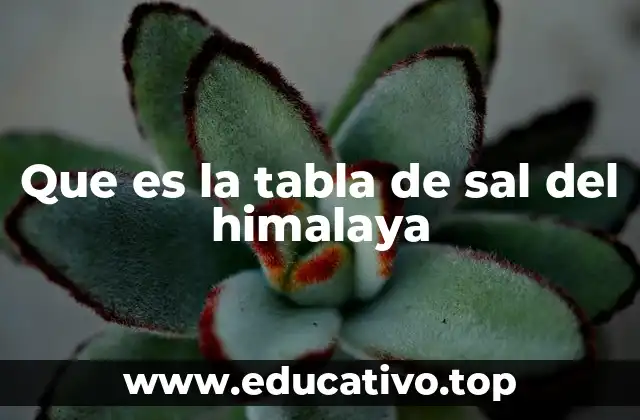 Que es la tabla de sal del himalaya