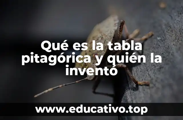 Qué es la tabla pitagórica y quién la inventó