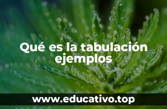 Qué es la tabulación ejemplos