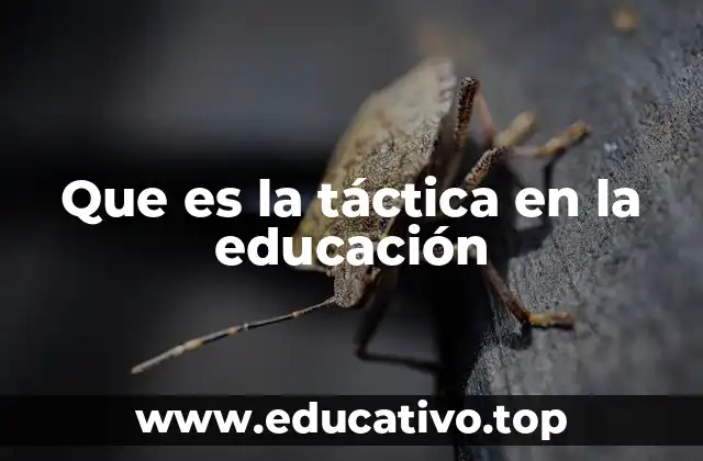 Que es la táctica en la educación
