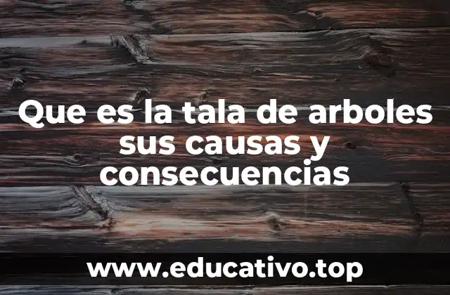 Que es la tala de arboles sus causas y consecuencias