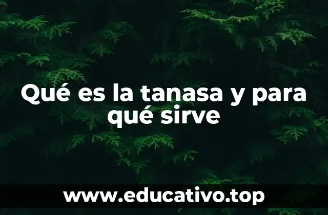 Qué es la tanasa y para qué sirve