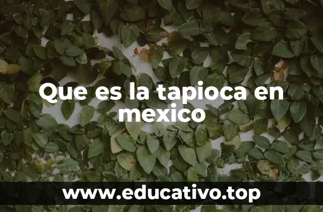 Que es la tapioca en mexico