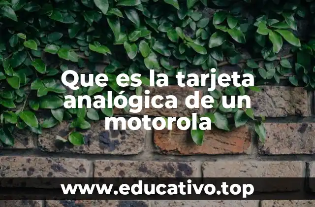 Que es la tarjeta analógica de un motorola