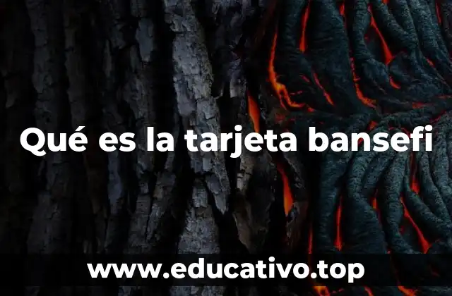 El rol de la tarjeta Bansefi en la economía local
