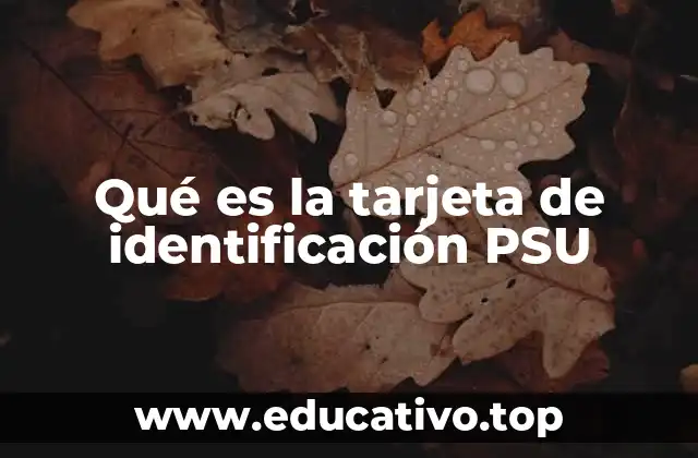 Qué es la tarjeta de identificación PSU