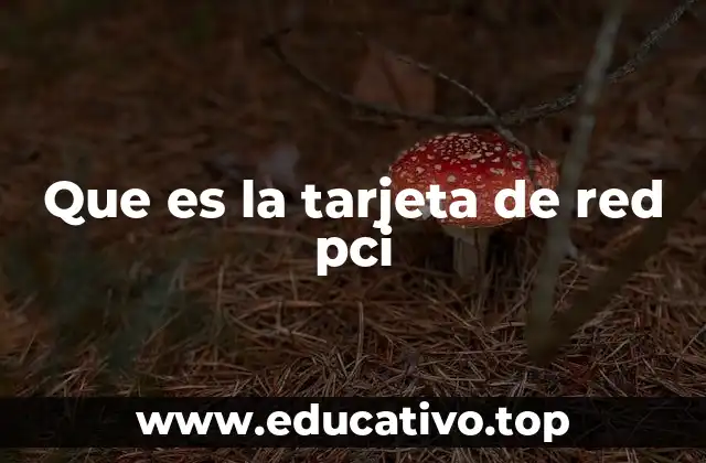 Que es la tarjeta de red pci