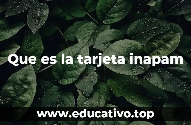 Que es la tarjeta inapam