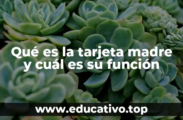 Qué es la tarjeta madre y cuál es su función