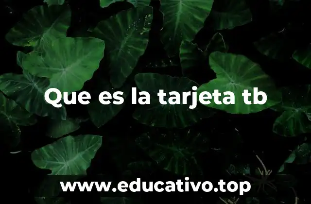Que es la tarjeta tb