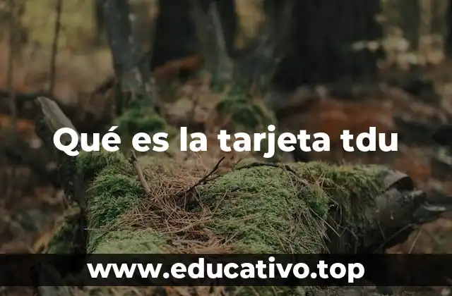 Qué es la tarjeta tdu