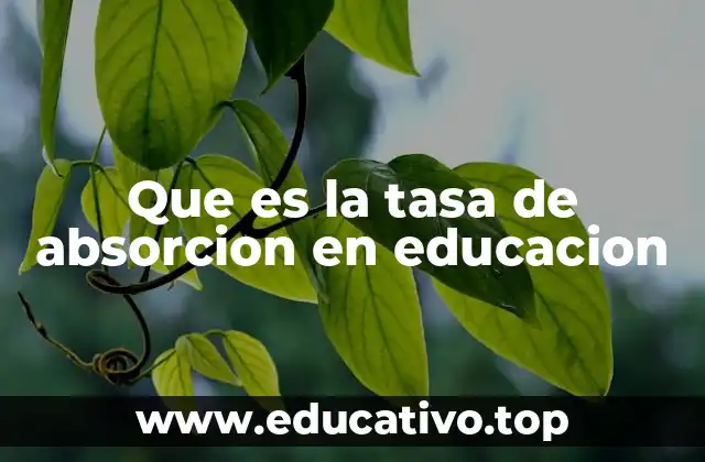 Que es la tasa de absorcion en educacion