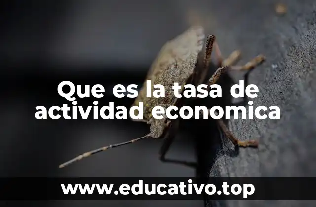 La importancia de medir el dinamismo laboral