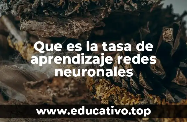 Que es la tasa de aprendizaje redes neuronales