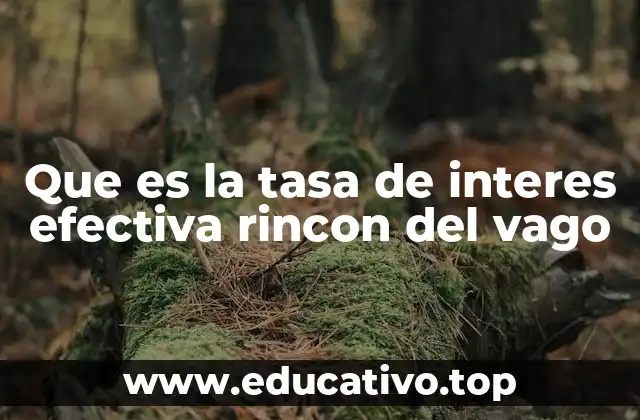 Que es la tasa de interes efectiva rincon del vago