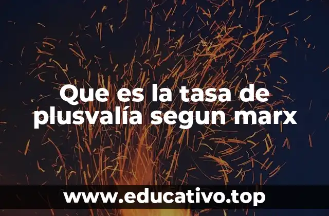 Que es la tasa de plusvalía segun marx