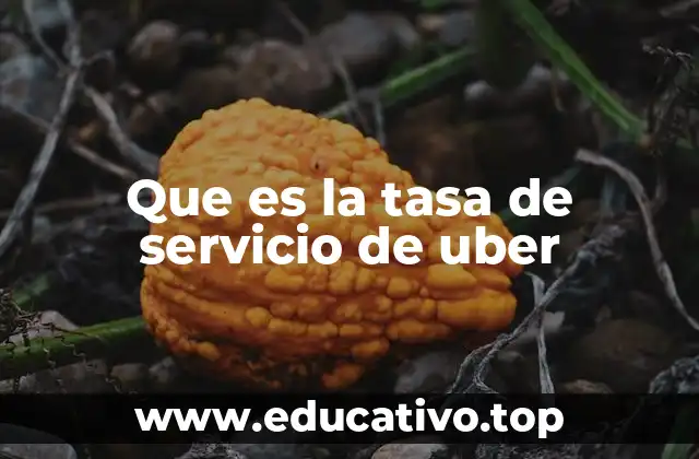 Que es la tasa de servicio de uber