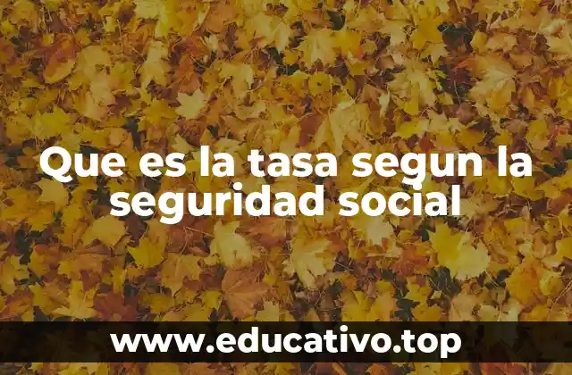Que es la tasa segun la seguridad social