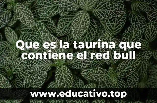 Que es la taurina que contiene el red bull