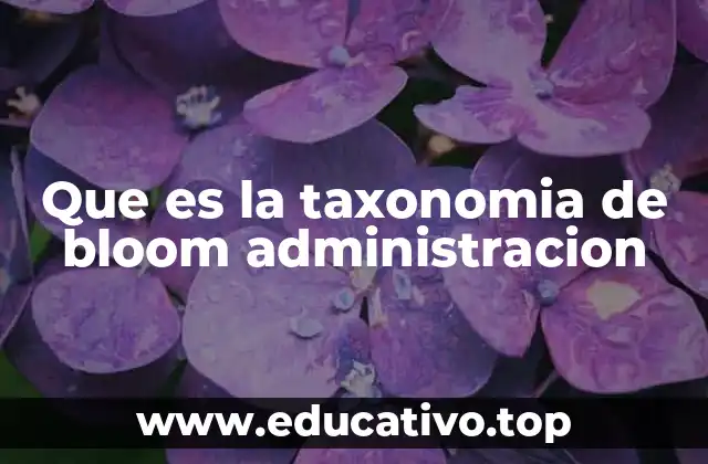 Que es la taxonomia de bloom administracion