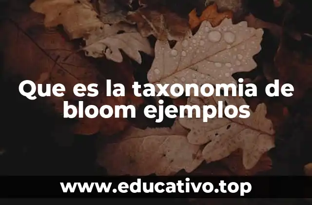 Que es la taxonomia de bloom ejemplos