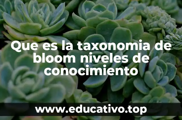 Que es la taxonomia de bloom niveles de conocimiento