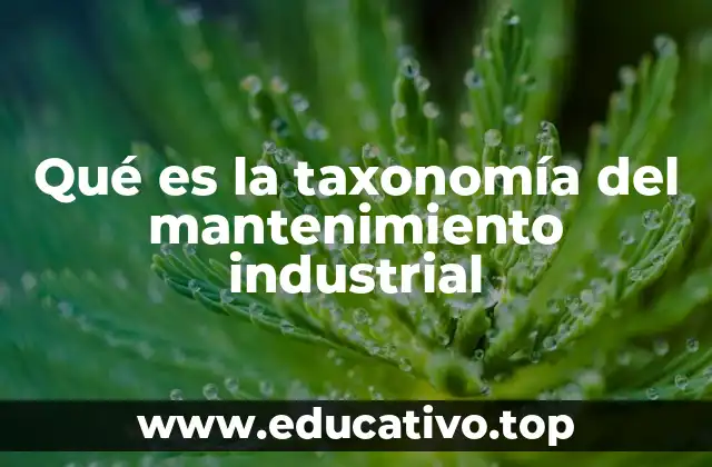 Qué es la taxonomía del mantenimiento industrial