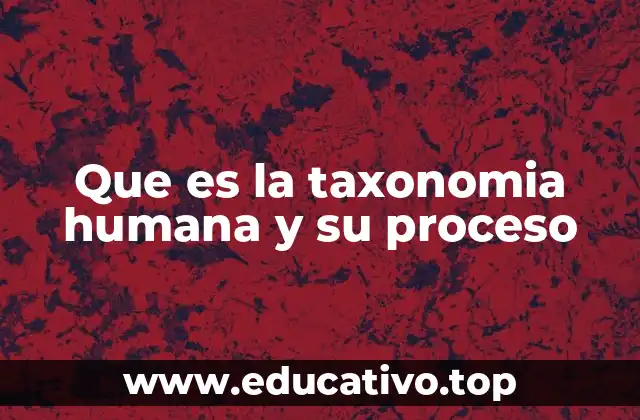 Que es la taxonomia humana y su proceso