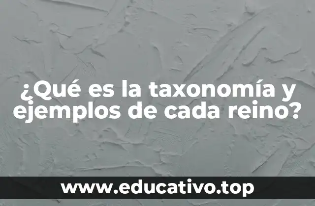 La clasificación biológica