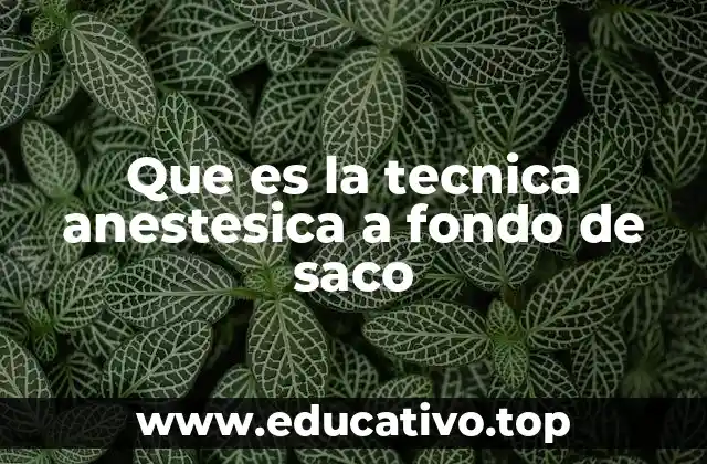 Que es la tecnica anestesica a fondo de saco