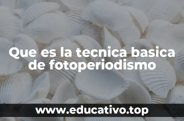Que es la tecnica basica de fotoperiodismo