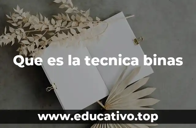 Que es la tecnica binas
